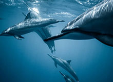 中国田径队摩拳擦掌力争佳绩